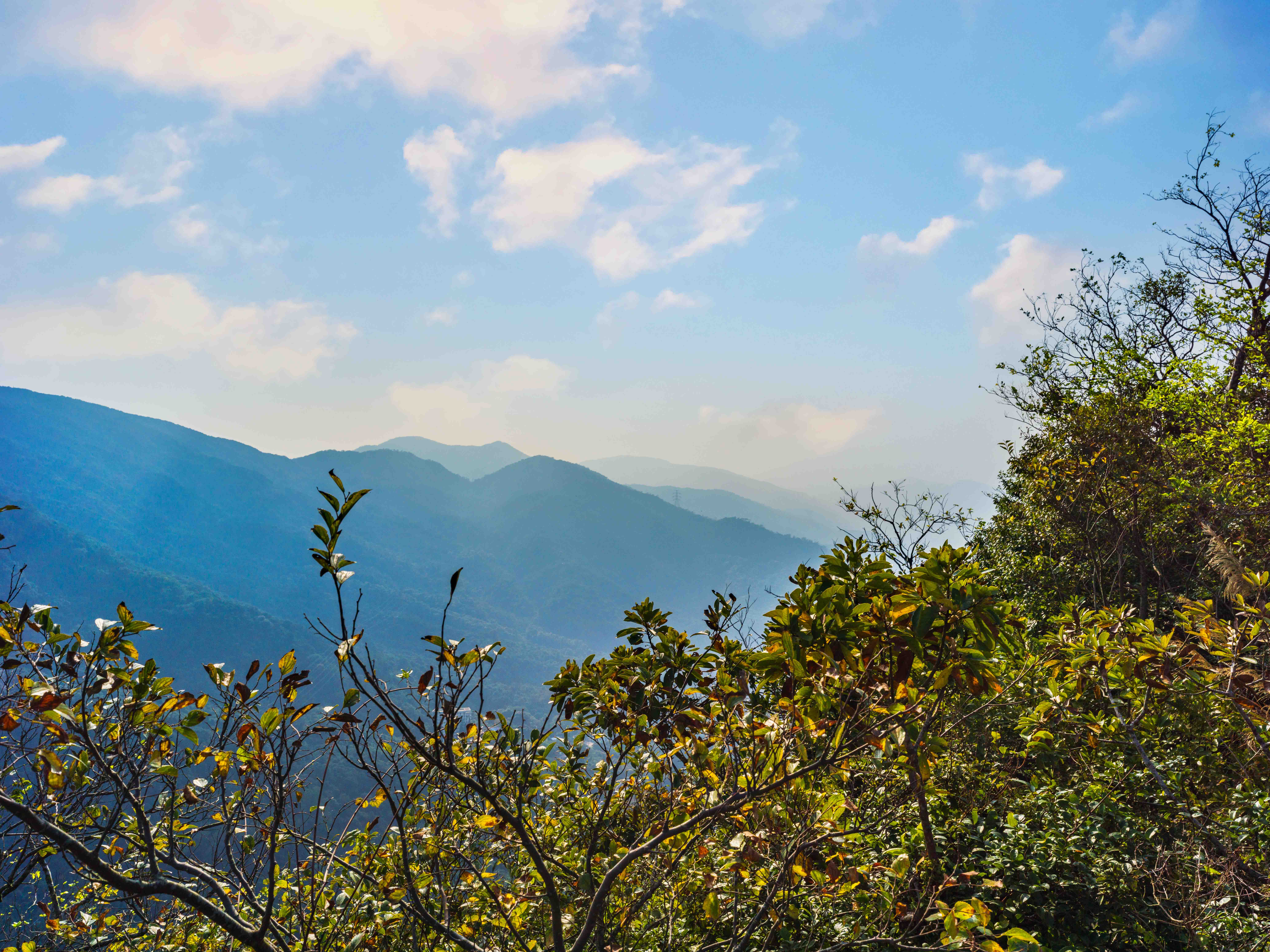 Kadoorie Farm and Botanic Garden¹