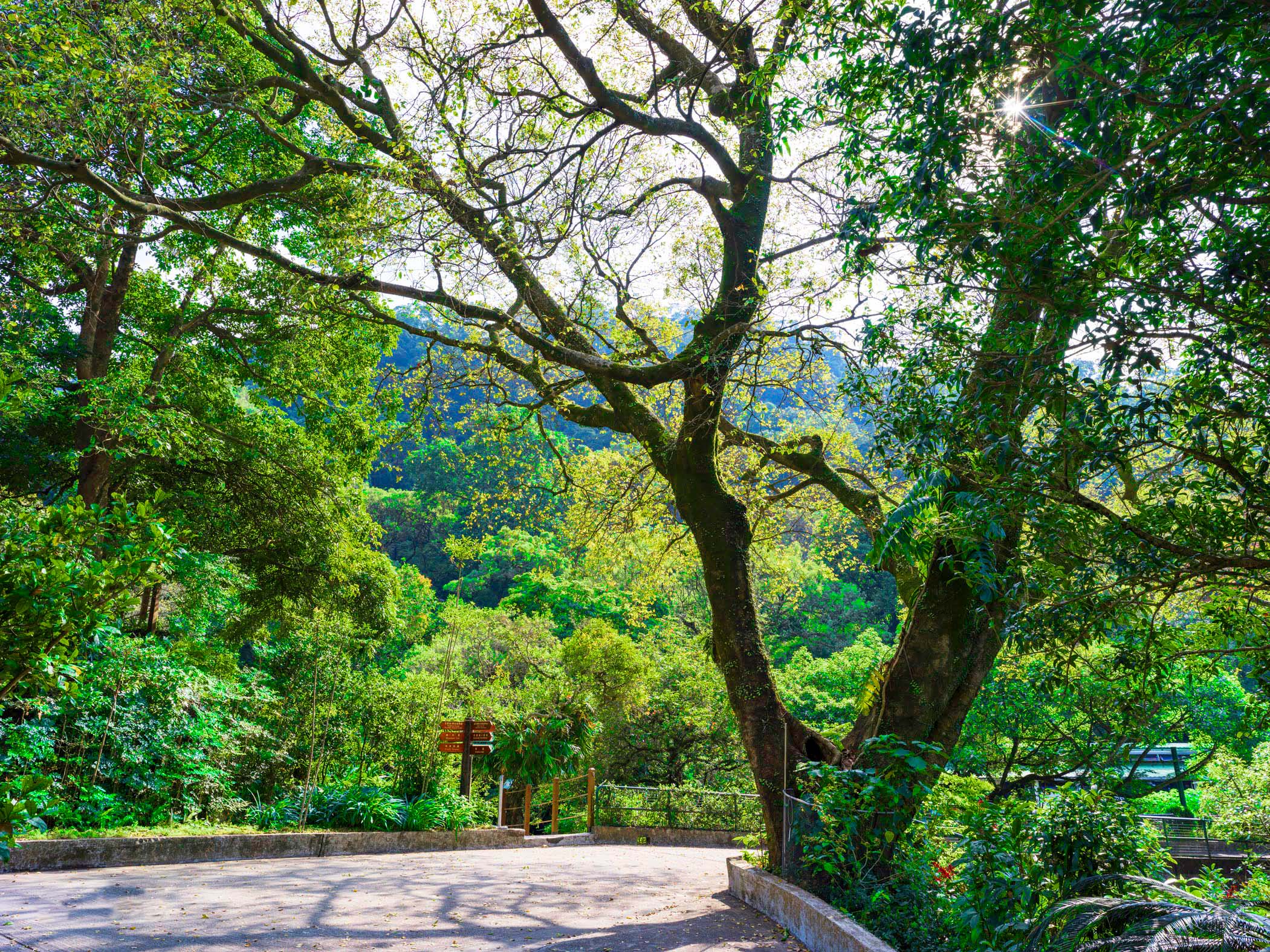 Kadoorie Farm and Botanic Garden¹