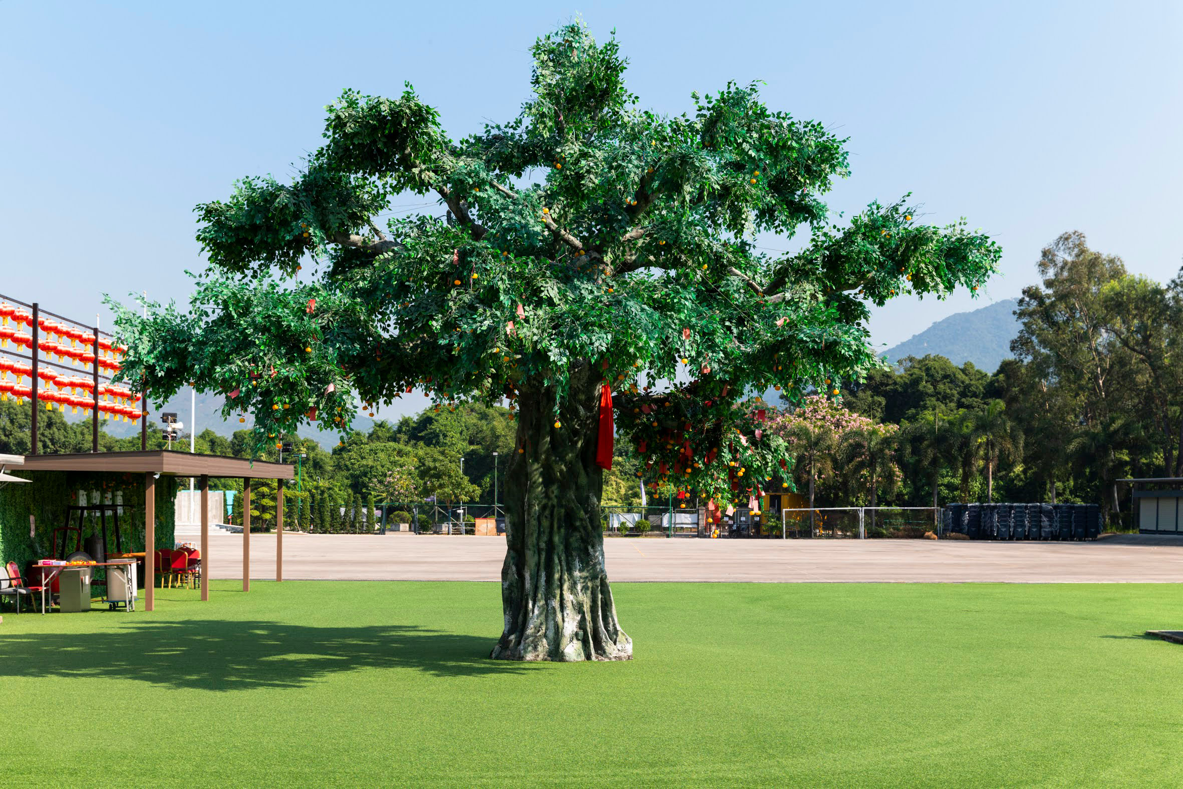 Lam Tsuen Wishing Tree¹